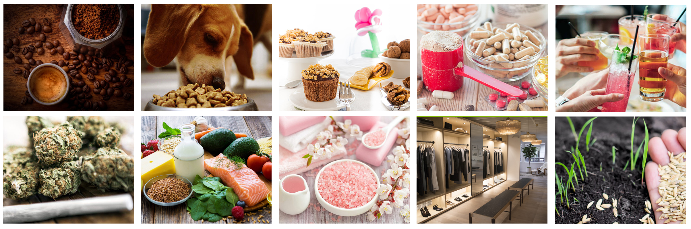 Industrial GreenbioBag serviert.