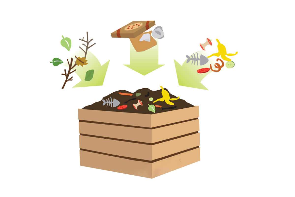 Die Tatsache von kompostierbaren Taschen