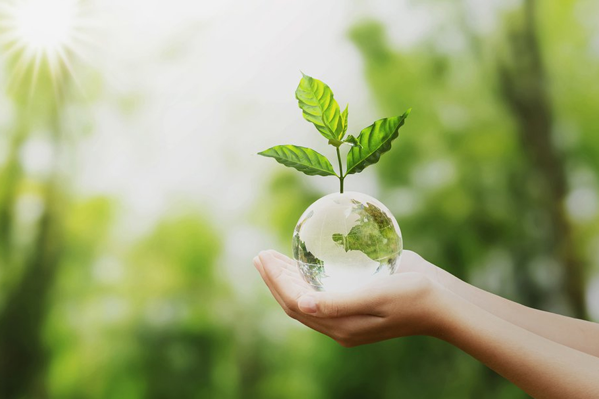 Was k&ouml;nnen wir tun, um die Umwelt zu sch&uuml;tzen?