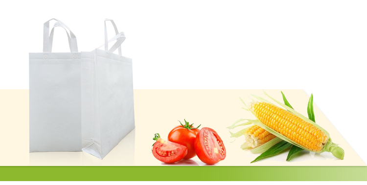 Wasserl&ouml;slicher Vliestasche