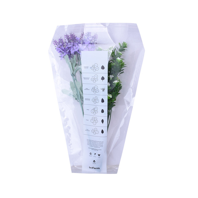 biologisch abbaubare PLA bag4