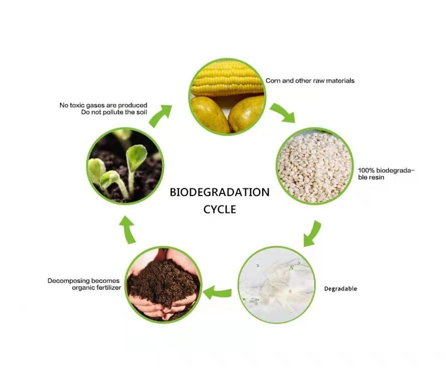 pflanzliche Verpackung f&uuml;r Lebensmittel