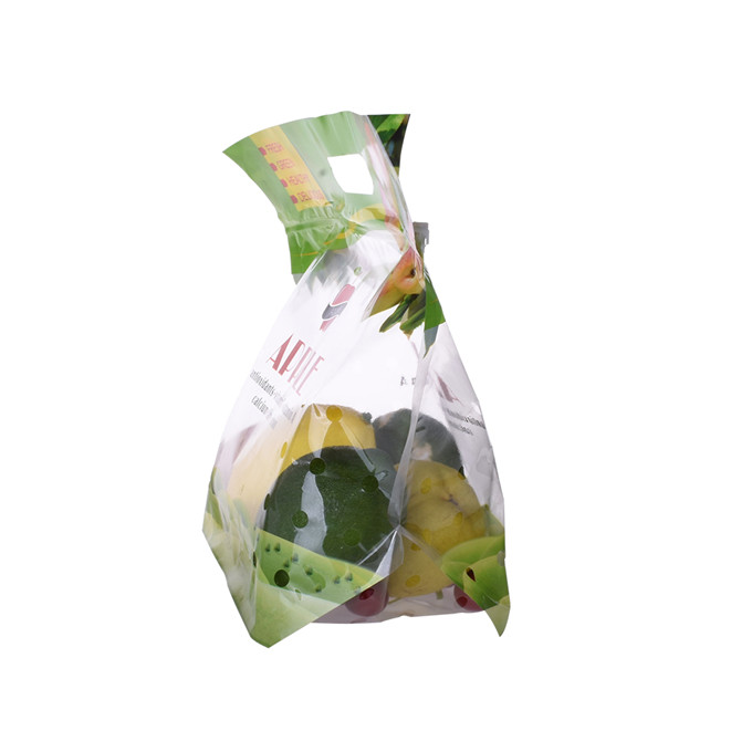 Gedrucktes Logo auf Eco Plastic Recycelbarem Obstbeutel mit Griff geschliffen