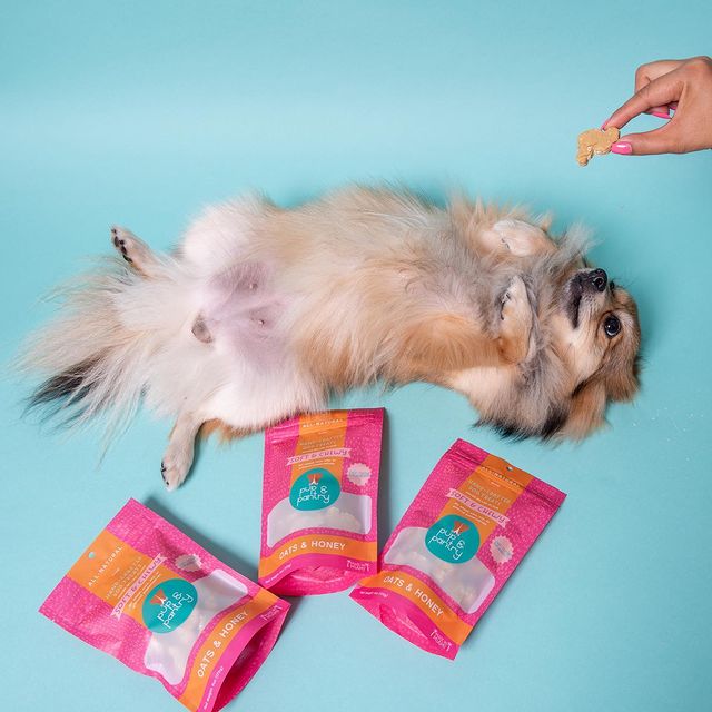 Nachhaltiger industrieller kompostierbarer 100% biologisch abbaubarer Haustier-Lebensmittelverpackung Hund behandelt Tasche